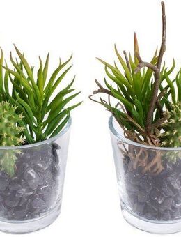 Künstliche Zimmerpflanze Sukkulenten Arrangement im Glas, Botanic-Haus, Höhe 15 cm