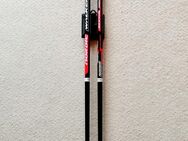 Nordic-Walking-Stöcke (100 cm) von Exel - Wilhelmshaven