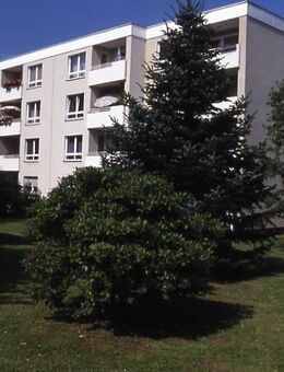 4-Zimmer-Wohnung in Unna Süd - Unna