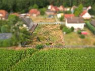 Baugrundstück mit unverbautem Blick übers Feld! (SY-6106) - Habighorst