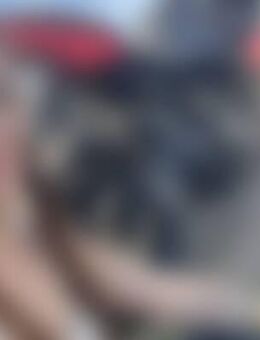 Sar*** - Kaiserslautern