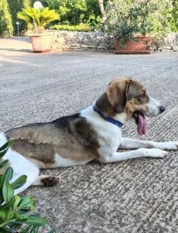 COFFEE - der Clevere - Oberhausen (Rheinland-Pfalz)