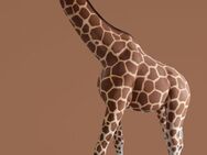 Giraffe mit Lampe übergroß XXL Deko- & Werbefigur - Markersdorf