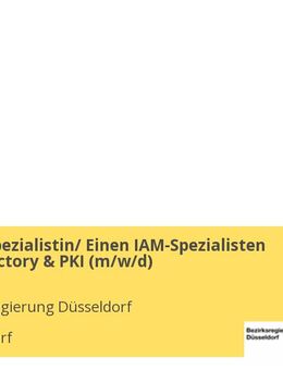 Eine IAM-Spezialistin/ Einen IAM-Spezialisten Active Directory & PKI (m/w/d) - Düsseldorf
