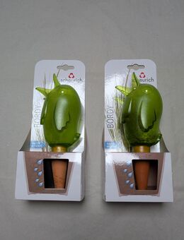 2x Scheurich Pflanzenwasserspender Bördy M 220 ml Grün mit Originalverpackung - Hamburg Wandsbek