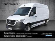 Mercedes Sprinter, 3ochdach Basic, Jahr 2023 - Neustadt (Weinstraße)