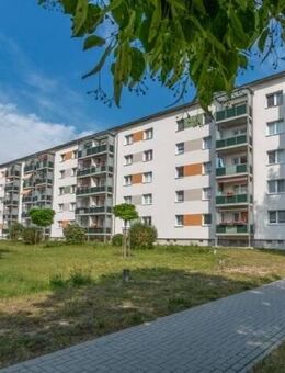 Seniorengerechte 2-Raum-Wohnung mit offener Küche, Balkon und Aufzug - Oschatz