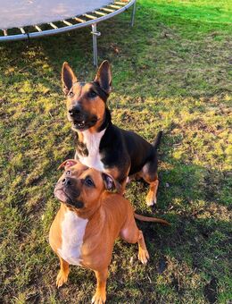 Julibabys sind da♥️ - Wagenfeld