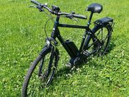 Pegasus Strong E10 28zoll, 55cm, max. 180KG - Reichshof