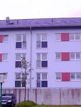 3 Zimmer in Schleswig - Schleswig