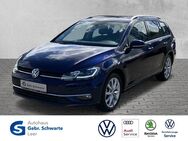 VW Golf Variant, 1.5 TSI Golf VII Highline, Jahr 2019 - Leer (Ostfriesland)