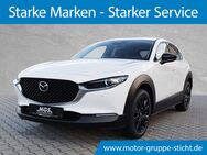 Mazda CX-30, Homura FWD 122PS 6AT, Jahr 2024 - Weiden (Oberpfalz)