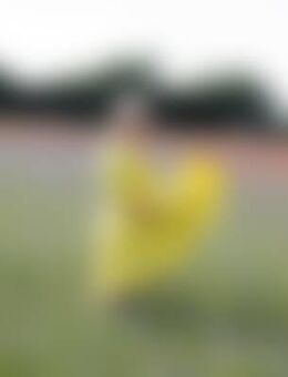 Nad*** - Zingst (Ostseebad)