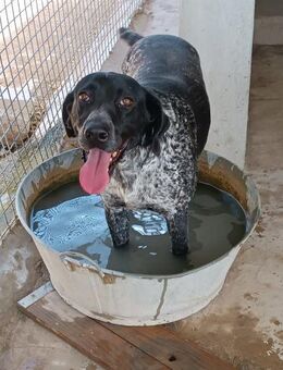 Vera so lieb und dankbar Alb - Ludwigshafen (Rhein)