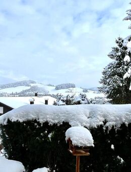 Kleine Traumwohnung 1,5 Zimmer Möbliert + Terrasse + PKW Stellplatz in Oberreute - frei - Oberreute