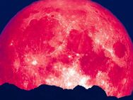 Exclusives Erdbeer Vollmond Speziell - Warburg (Hansestadt)