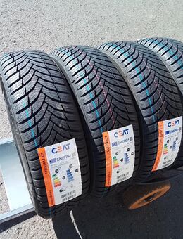 4 Neue Allwetterreifen Ganzjahresreifen G 175 65 14 82 T Ceat 260,- Euro incl. montage - Sprendlingen