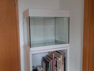 Aquarium leer - Aachen