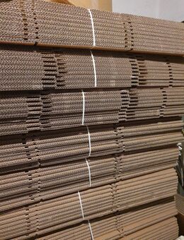 Umzugskartons - Neuenkirchen (Landkreis Osnabrück)