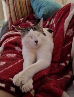 Freunde Aslan und Zeli (ALO) - Geisenheim