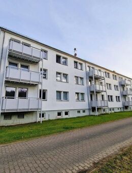Schicke 2-Zimmer-Wohnung in Brahlstorf - ruhig gelegen am Waldrand - Brahlstorf