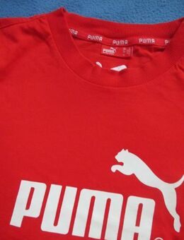 NEU * Herren oder Damen * Unisex * Basic * Freizeit * Sport * Kurzarm * Print * T- Shirt ''PUMA'' Gr. 44- 46, 48/ S- M * rot * weiß * - Riedlingen