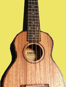 Ukulele, spielen, lernen, Unterricht, Lehrer, - Jena