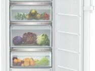 Liebherr Kühlschrank RBa30 425i_091624051, 125,5 cm hoch, 59,7 cm breit