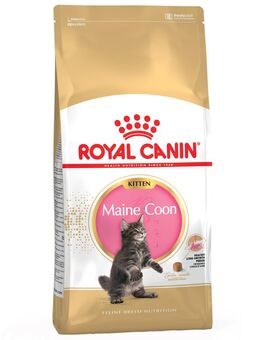 Sparpaket Royal Canin 2 x Großgebinde - Maine Coon Kitten (2 x 10 kg)