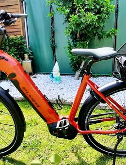 E-Bike Flyer Upstreet4 7.10 LE ABS E-Bike Rot (Modell 2020) - Sankt Augustin
