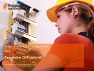 Teamleiter QVP (w/m/d) - Niefern-Öschelbronn