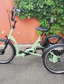 Pfautec Eno FM Elektrodreirad für Erwachsene (gebraucht, neuwertig) in 96052