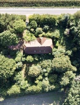 Wohnhaus mit Nebengebäuden im "Dornröschenschlaf" in Lohne - Lohne (Oldenburg)