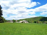 Landwirtschaftliches Anwesen mit ca. 70 ha Land und diversen Gebäuden/Optionen - Veitsrodt