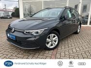 VW Golf Variant, 2.0 TDI Golf VIII Life Plus, Jahr 2021 - Teterow