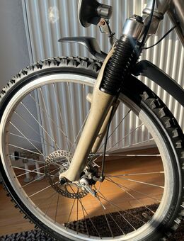 Mountainbike X-Cycle Powertech - Frankfurt (Main) Bergen-Enkheim