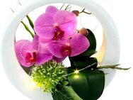 Kunstorchidee Orchidee, I.GE.A., Höhe 20 cm, im Keramiktopf, mit LED-Beleuchtung