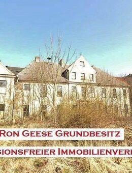 * PROVISIONSFREI * Repräsentatives Schloss in Züsedom - 35 Minuten bis zur Ostsee - Wohnen-Gewerbe-Produktion - Finanzierung möglich - Siehe Text * - Rollwitz