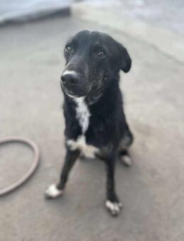 IGLIKA - EINFACH WUNDERSCHÖN! - Alfeld (Leine)