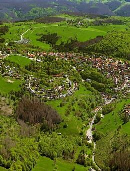 TOP ANGEBOT!! 2-ZI-EIGENTUMSWOHNUNG AM HARTEN BROCKEN!! UNBEDINGT ANSCHAUEN!! - Braunlage
