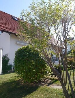 *** Vermietetes Zweifamilienhaus in Ilmenau - Ilmenau
