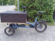 Verkaufe cargo ebike - Naumburg (Saale)