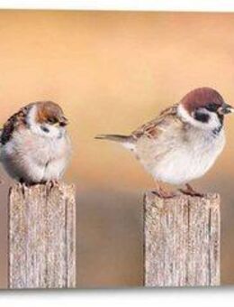 Reinders! Holzbild Deco Panel 30x90 Bird Family