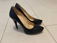 Highheels, Pumps, Bettschuhe Gr. 37 - Koblenz