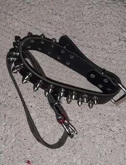 2 Stück Lederhalsbänder Stacheln neu Anzeige LESEN - Kiel