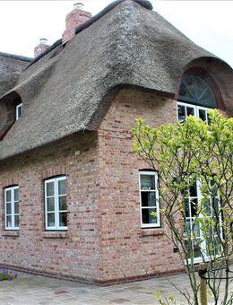 KfW 55-Standard: Hochwertig eingerichtete Ferienhaushälfte unter Reet - Oevenum