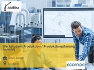Werkstudent Produktion / Produktionsplanung (m/w/d) - Iserlohn