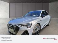 Audi e-tron 50 Q S LINE BLACK LED PANO BuO LM20 - Plettenberg