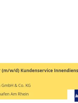 Mitarbeiter (m/w/d) Kundenservice Innendienst - Ludwigshafen (Rhein)