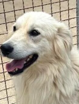 CHACK - ein armer Wurm - Regensburg